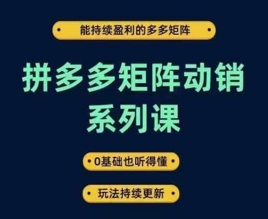 拼多多矩阵动销系列课，能持续盈利的多多矩阵，0基础也听得懂，玩法持续更新-如意资源库