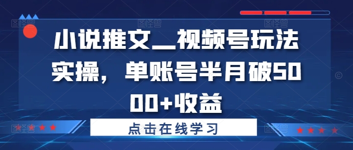 小说推文—视频号玩法实操，单账号半月破5000+收益-如意资源库