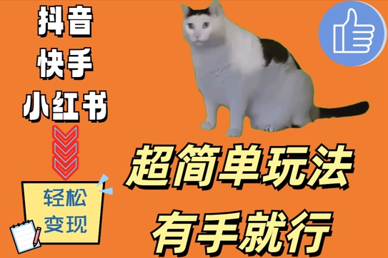 超简单玩法，有手就行，靠猫咪视频日入500+【揭秘】-如意资源库