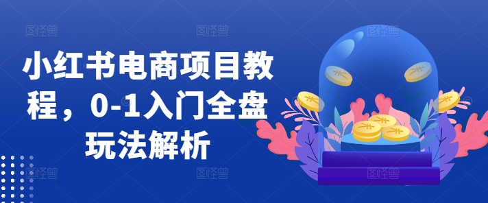 小红书电商项目教程，0-1入门全盘玩法解析-如意资源库