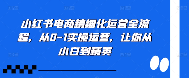 小红书电商精细化运营全流程，从0-1实操运营，让你从小白到精英-如意资源库