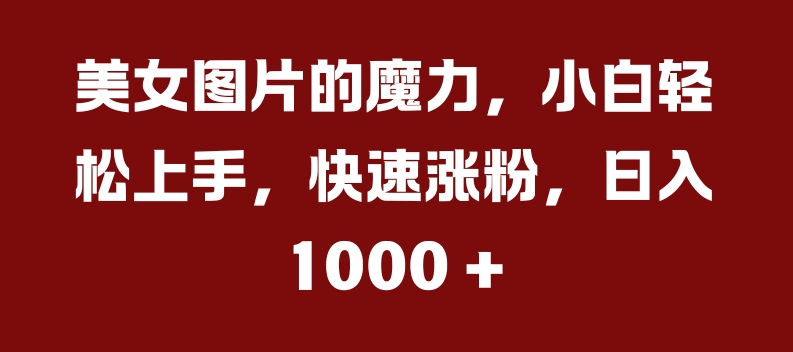 美女图片的魔力，小白轻松上手，快速涨粉，日入几张【揭秘】-如意资源库