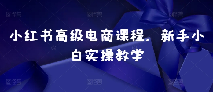小红书高级电商课程，新手小白实操教学-如意资源库