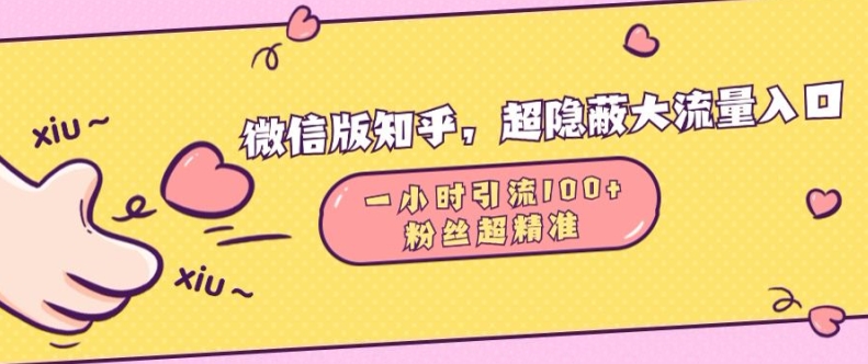微信版知乎，超隐蔽流量入口1小时引流100人，粉丝质量超高【揭秘】-如意资源库