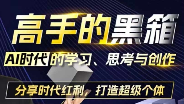 高手的黑箱：AI时代学习、思考与创作-分红时代红利，打造超级个体-如意资源库