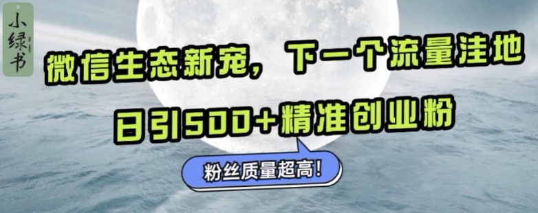 微信生态新宠小绿书：下一个流量洼地，日引500+精准创业粉，粉丝质量超高-如意资源库