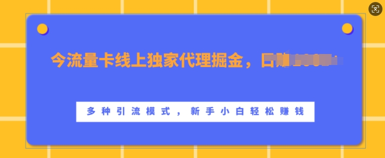 流量卡线上独家代理掘金，日入1k+ ，多种引流模式，新手小白轻松上手【揭秘】-如意资源库