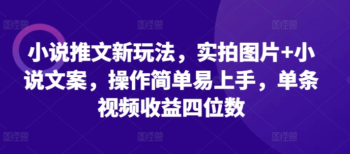 小说推文新玩法，实拍图片+小说文案，操作简单易上手，单条视频收益四位数-如意资源库