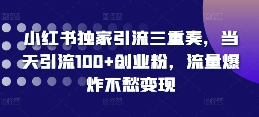 小红书独家引流三重奏，当天引流100+创业粉，流量爆炸不愁变现【揭秘】-如意资源库