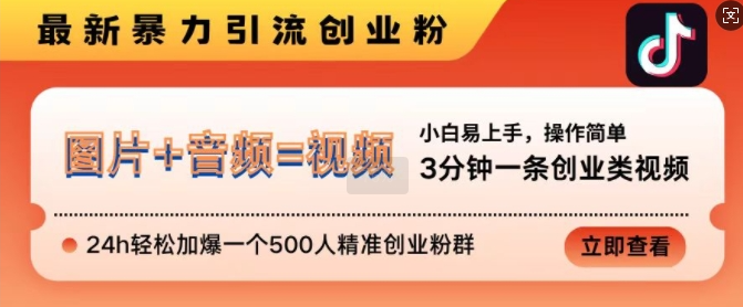 抖音最新暴力引流创业粉，3分钟一条创业类视频，24h轻松加爆一个500人精准创业粉群【揭秘】-如意资源库