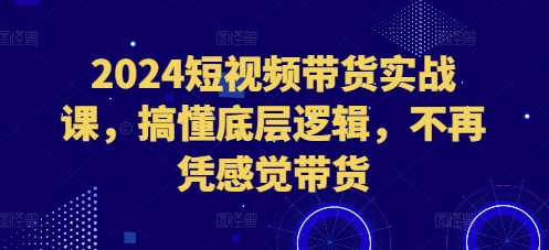 2024短视频带货实战课，搞懂底层逻辑，不再凭感觉带货-如意资源库
