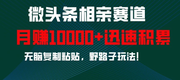 微头条相亲赛道，迅速积累，无脑复制粘贴，野路子玩法，月入1w-如意资源库