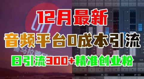 12月最新：音频平台0成本引流，日引流300+精准创业粉-如意资源库