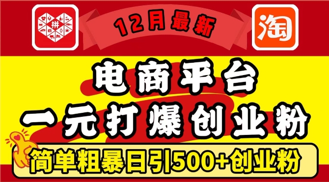 12月最新：电商平台1元打爆创业粉，简单粗暴日引500+精准创业粉，轻松月入过W【揭秘】-如意资源库