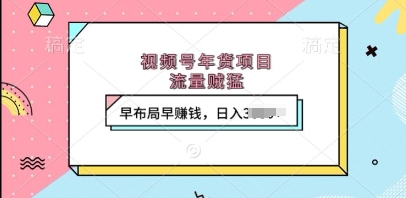 视频号年货项目，流量贼猛，早布局早挣钱，日入上k【揭秘】-如意资源库
