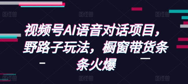 视频号AI语音对话项目，野路子玩法，橱窗带货条条火爆-如意资源库