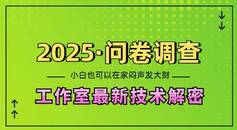 2025问卷调查最新工作室技术解密：一个人在家也可以闷声发大财，小白一天2张，可矩阵放大【揭秘】-如意资源库