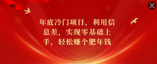 年底冷门项目，利用信息差，实现零基础上手，轻松赚个肥年钱【揭秘】-如意资源库
