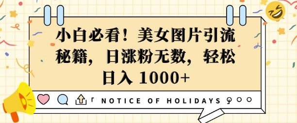 小白必看，美女图片引流秘籍，日涨粉无数，轻松日入几张【揭秘】-如意资源库
