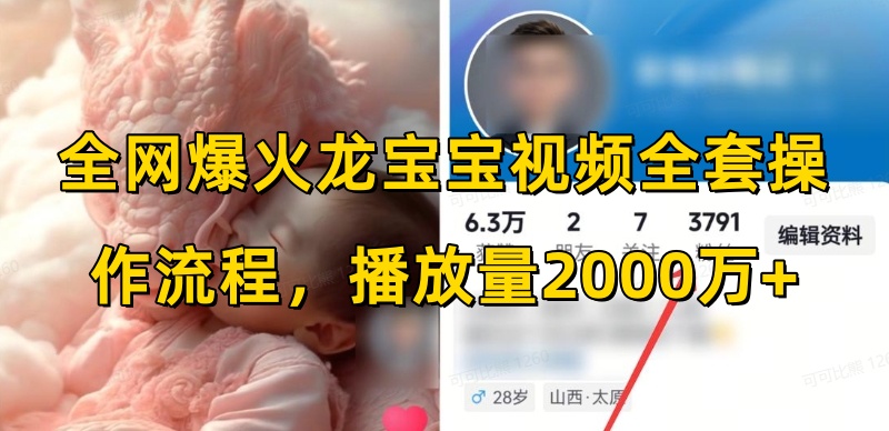 全网爆火龙宝宝视频全套操作流程，播放量2000万+-如意资源库