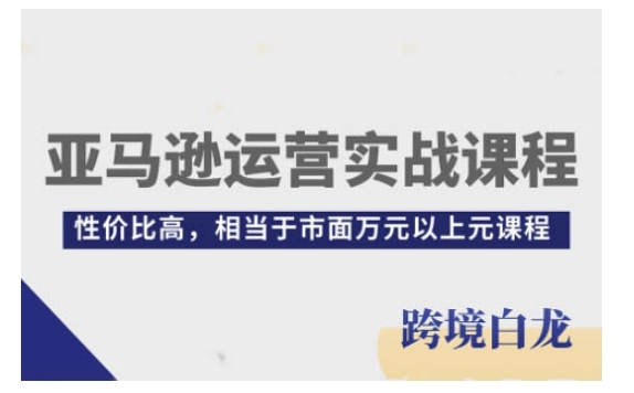 亚马逊运营实战课程，亚马逊从入门到精通，性价比高，相当于市面万元以上元课程-如意资源库