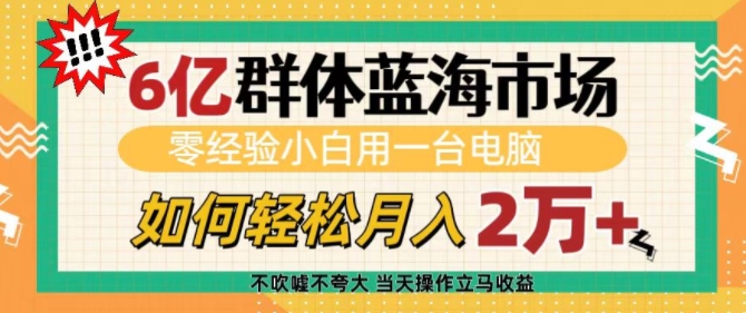 6亿群体蓝海市场，零经验小白用一台电脑，如何轻松月入过w【揭秘】-如意资源库