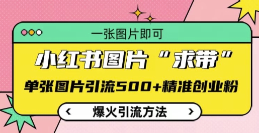 小红书图片‘求带’爆火引流法，单张图片引流500+精准创业粉【揭秘】-如意资源库