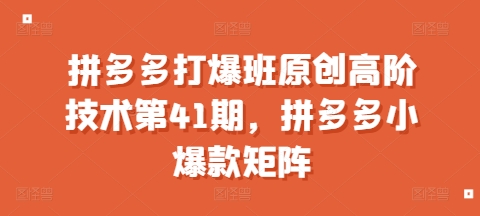 拼多多打爆班原创高阶技术第41期，拼多多小爆款矩阵-如意资源库