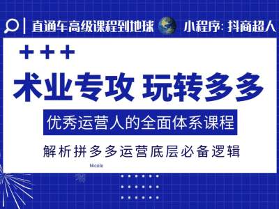 术业专攻玩转多多，优秀运营人的全面体系课程，解析拼多多运营底层必备逻辑-如意资源库