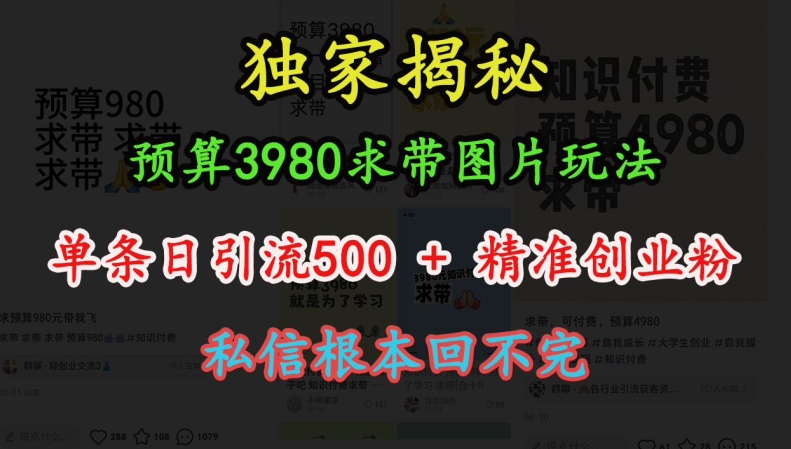 预算3980求带 图片玩法，单条日引流500+精准创业粉，私信根本回不完-如意资源库