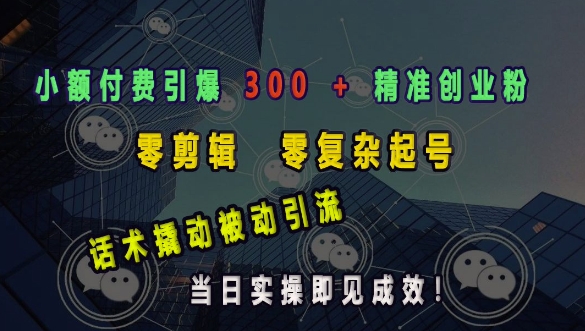 小额付费引爆 300 + 精准创业粉，零剪辑、零复杂起号，话术撬动被动引流，当日实操即见成效-如意资源库