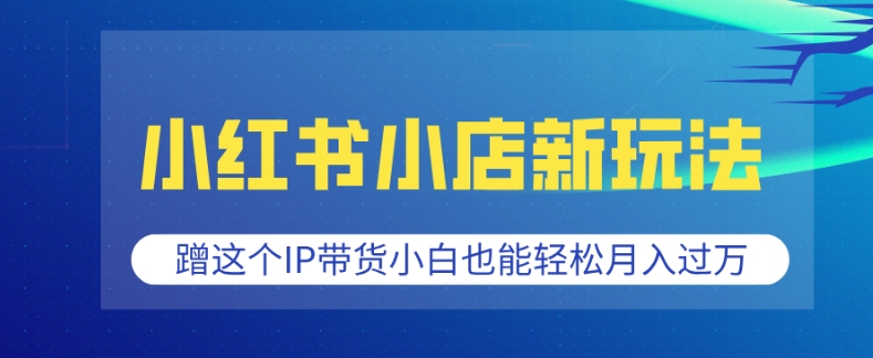 小红书小店新玩法，蹭这个IP带货，小白也能轻松月入过W【揭秘】-如意资源库