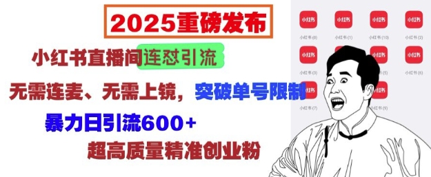 2025重磅发布：小红书直播间连怼引流，无需连麦、无需上镜，突破单号限制，暴力日引流600+-如意资源库