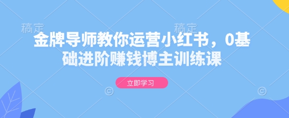 金牌导师教你运营小红书，0基础进阶赚钱博主训练课-如意资源库
