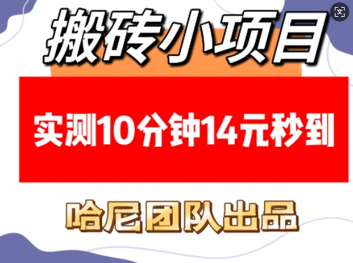 搬砖小项目，实测10分钟14元秒到，每天稳定几张(赠送必看稳定)-如意资源库