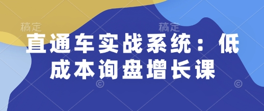 直通车实战系统：低成本询盘增长课，让个人通过技能实现升职加薪，让企业低成本获客，订单源源不断-如意资源库
