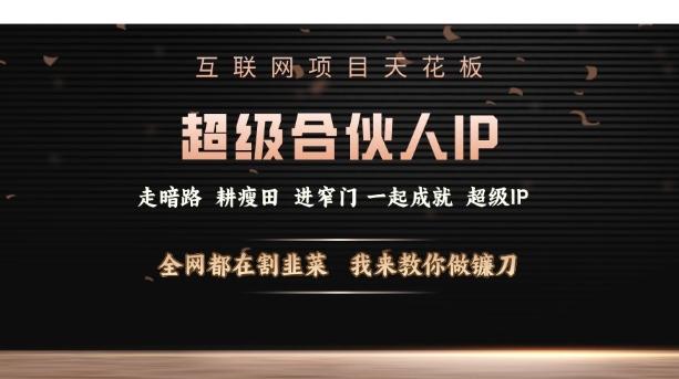 互联网项目天花板，超级合伙人IP，全网都在割韭菜，我来教你做镰刀【仅揭秘】-如意资源库