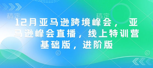 12月亚马逊跨境峰会， 亚马逊峰会直播，线上特训营基础版，进阶版-如意资源库