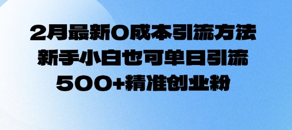 2月最新0成本引流方法，新手小白也可单日引流500+精准创业粉-如意资源库