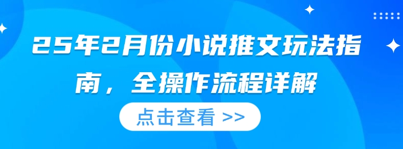 25年2月份小说推文玩法指南，全操作流程详解-如意资源库