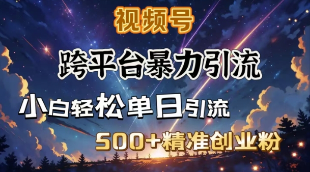 跨平台暴力引流，私域完美闭环，日引500+精准创业粉-如意资源库