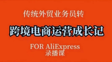 跨境电商速卖通运营课，​运营方法论+后台实操，逻辑清晰-如意资源库