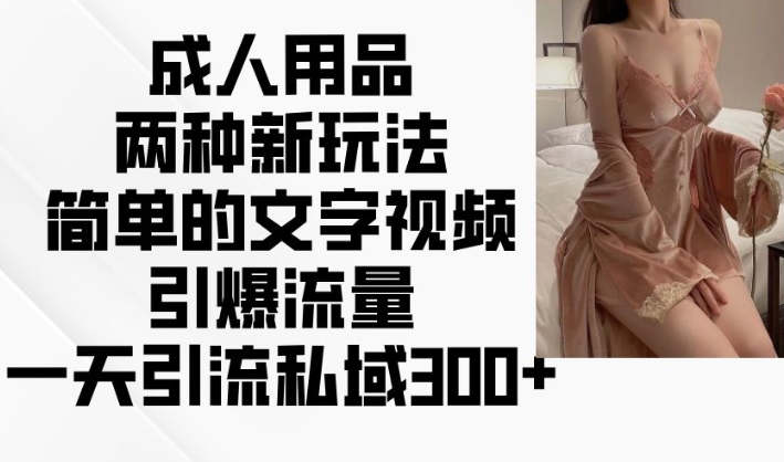 成人用品两种新玩法，简单的文字视频引爆流量，一天引流私域300+-如意资源库