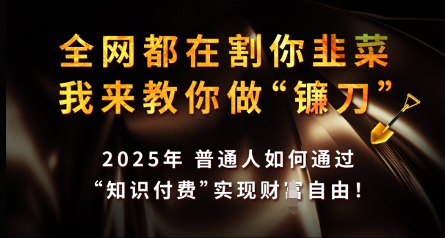 全网都在割你韭菜，我来教你做镰刀，2025年普通人如何通过 知识付费 实现财F自由【揭秘】-如意资源库
