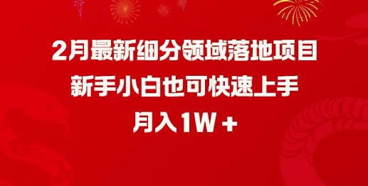 2月最新细分领域落地项目，新手小白也可快速上手，月入1W-如意资源库