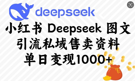 小红书Deepseek图文引流私域售卖资料，单日变现多张-如意资源库