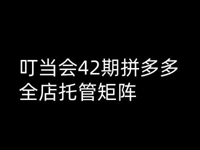 叮当会拼多多打爆班原创高阶技术第42期，拼多多全店托管矩阵-如意资源库