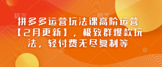 拼多多运营玩法课高阶运营【2月更新】，极致群爆款玩法，轻付费无尽复制等-如意资源库