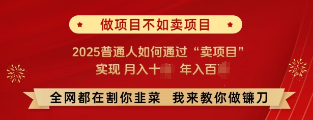 必看,做项目不如卖项目,2025普通人如何通过“卖项目”实现月入十个,年入百个-如意资源库