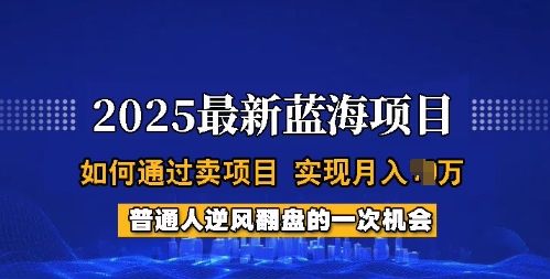 2025蓝海项目，普通人如何通过卖项目，实现月入过W，全过程【揭秘】-如意资源库